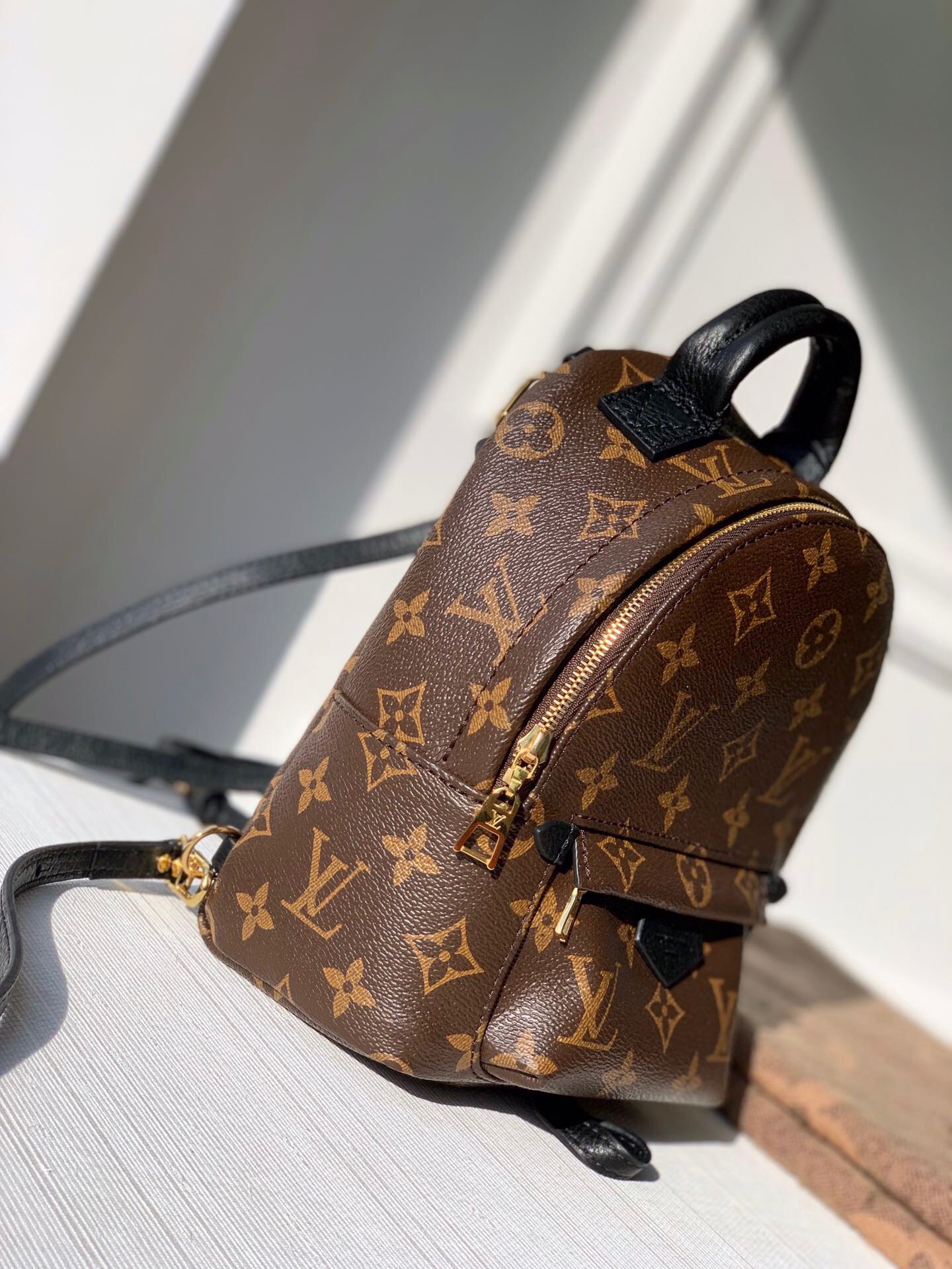 Louis Vuitton Palm Springs Mini Backpack 22Cm M44873 - Image 8