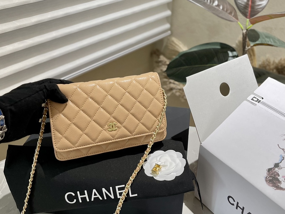 Chanel Wallet On Chain Woc Beige 19Cm - Image 2