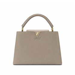 Louis Vuitton Capucines Mm Grey 31Cm M42253