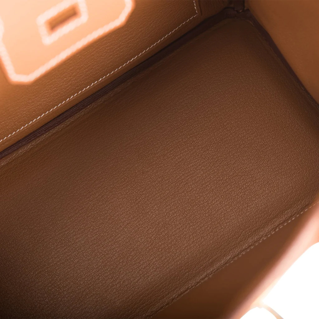 Hermes Birkin 25 Gold Togo Gold Hardware - Image 7