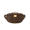 Louis Vuitton Bumbag Monogram 26Cm M43644