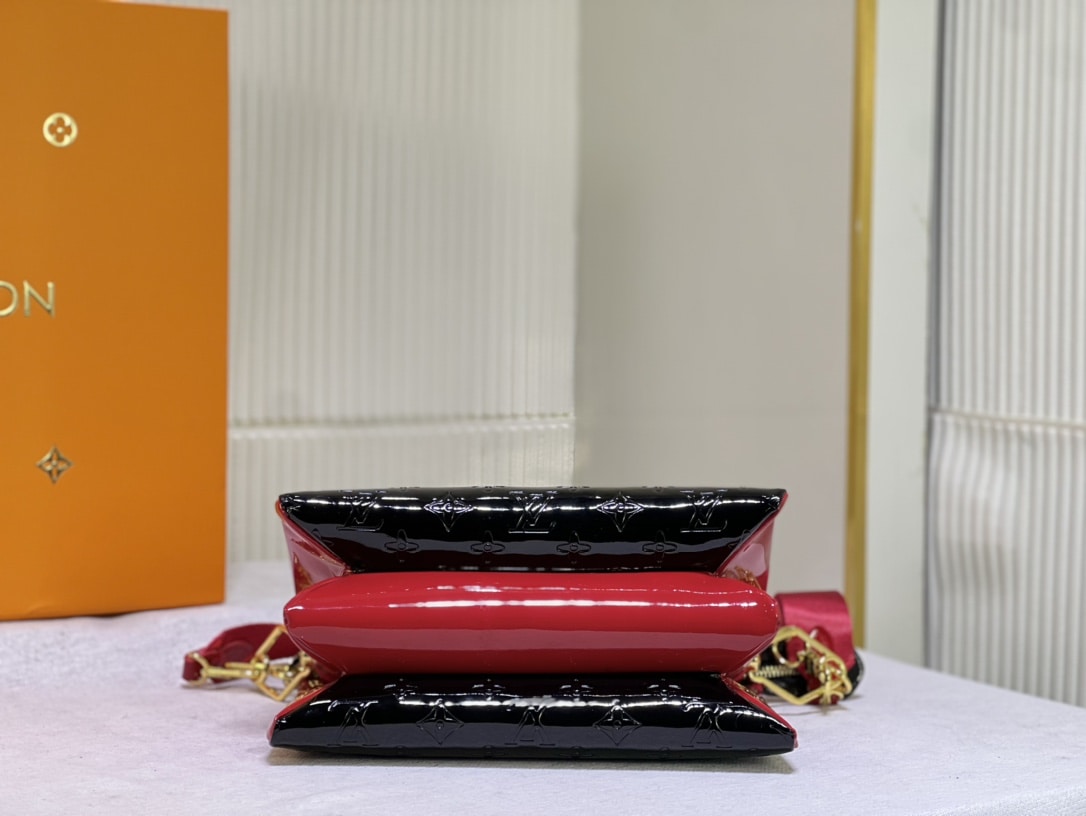 Louis Vuitton Coussin Pm Bag Black Red 26Cm - Image 7