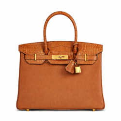 Hermès Birkin Touch 30 Bag Niloticus Caramel Togo Gold Hardware