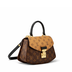 Louis Vuitton Tilsitt handbag