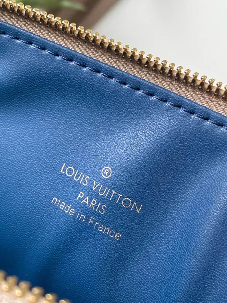 Louis Vuitton Coussin Pm 26Cm Taupe Color - Image 6