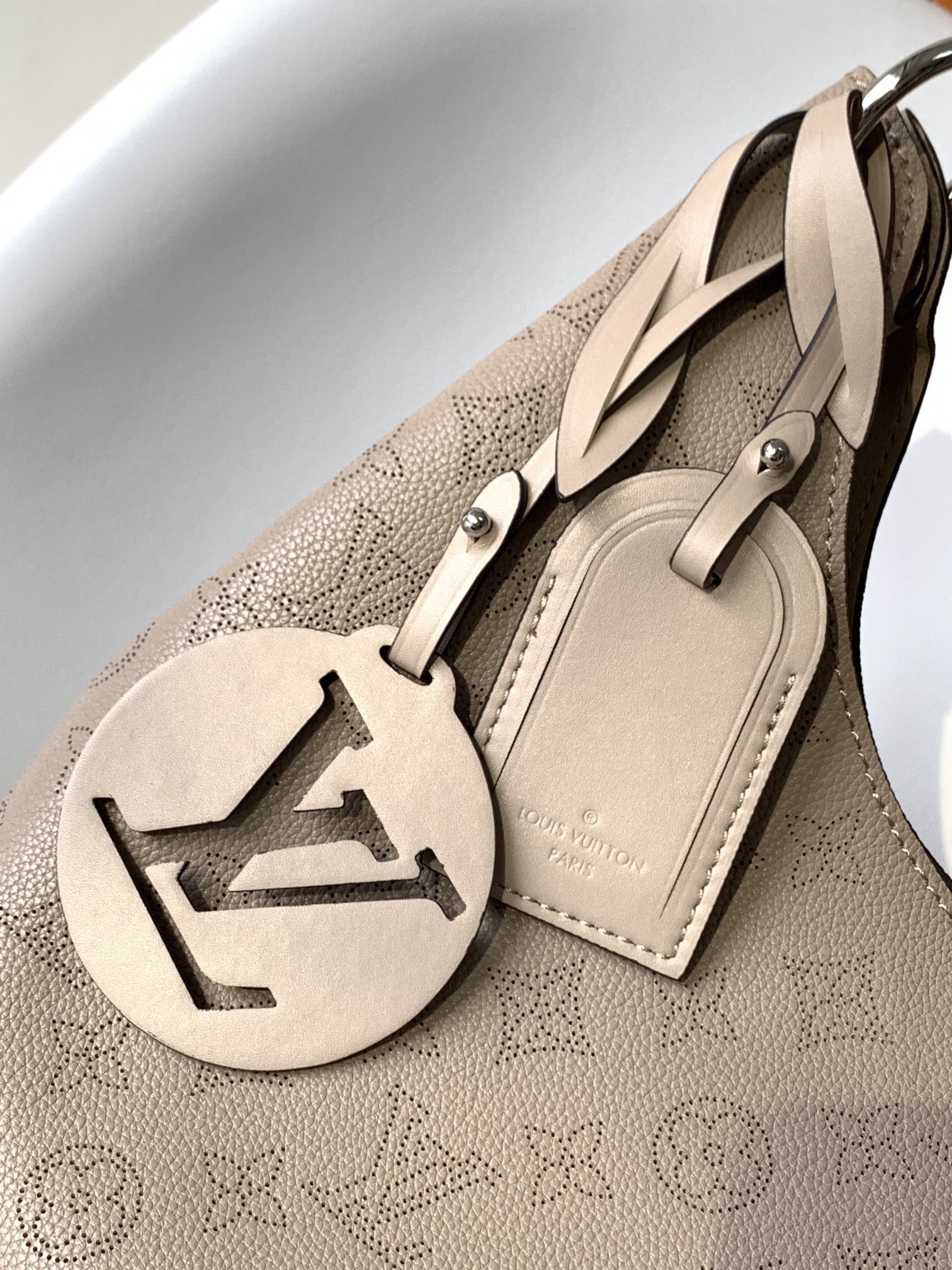 Louis Vuitton Carmel 40Cm Gray M56084 - Image 6